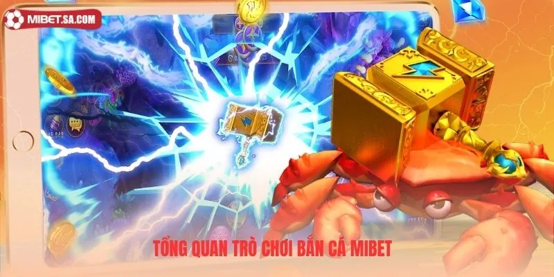 Bắn cá Mibet là địa điểm giải trí được nhiều hội viên lựa chọn